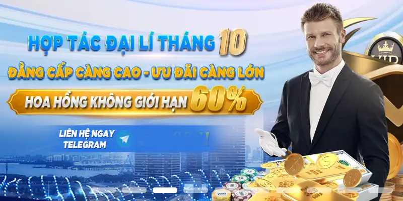 Thành viên cấp dưới của bên hợp tác đại lý không được có nhiều tài khoản