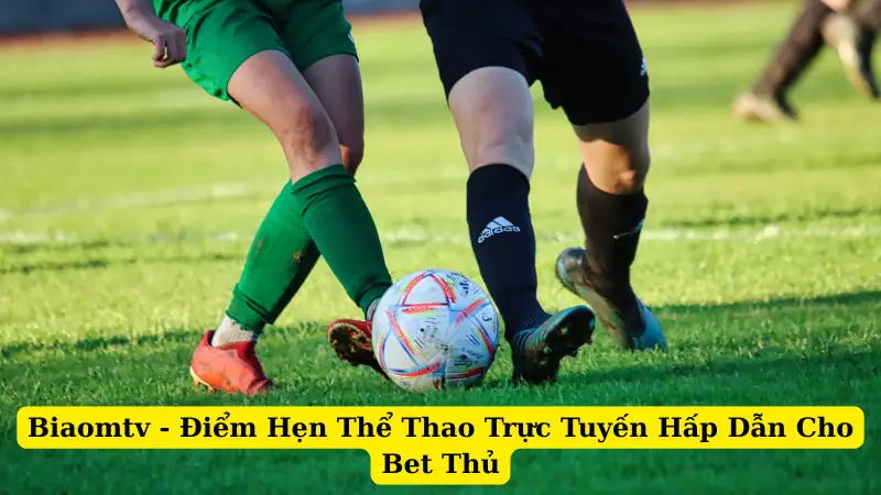 Biaomtv - Điểm Hẹn Thể Thao Trực Tuyến Hấp Dẫn Cho Bet Thủ