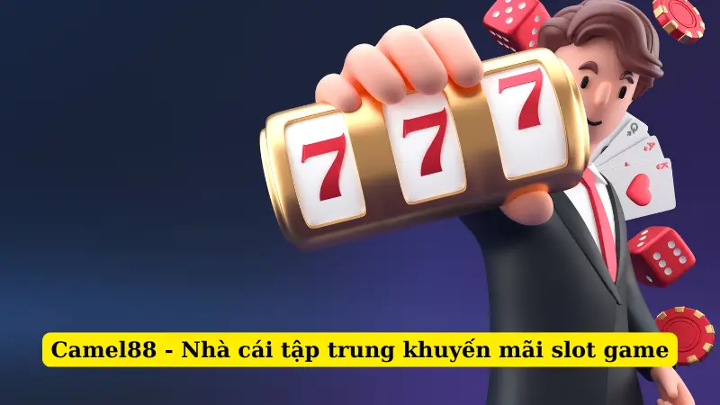 Camel88 - Nhà cái tập trung khuyến mãi slot game