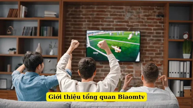 Giới thiệu tổng quan Biaomtv